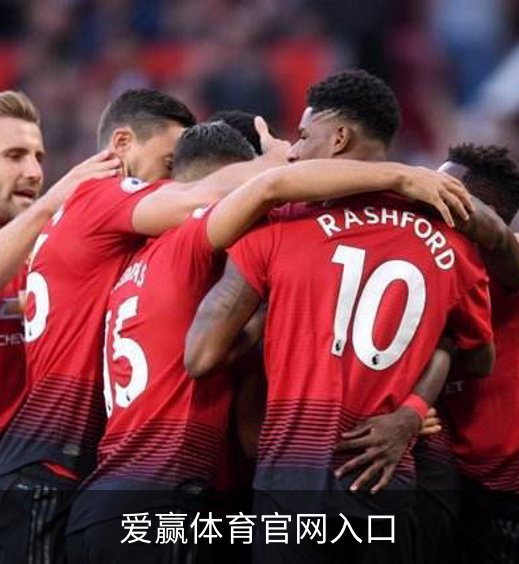爱赢体育官网入口概况